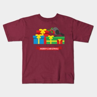 Cute Robin And The Four Colorful Gifts Kids T-Shirt